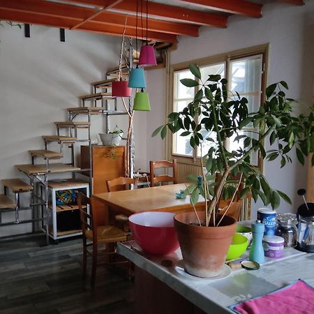Chambres Des Aubepines - Zenith Orléans Extérieur photo